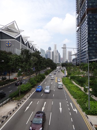 Singapur_sprievodna zelen pri cestnej komunikacii 2_Majorošová2015